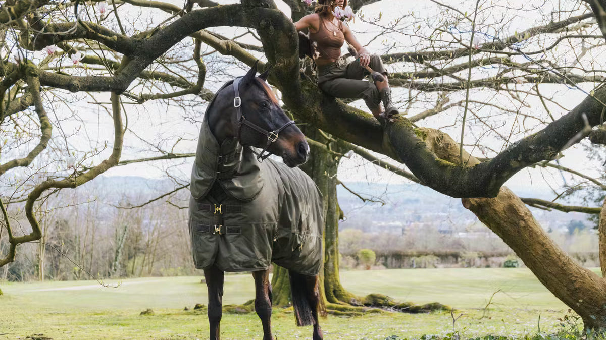 Top 10 Winter Riding Essentials Every Equestrian Needs