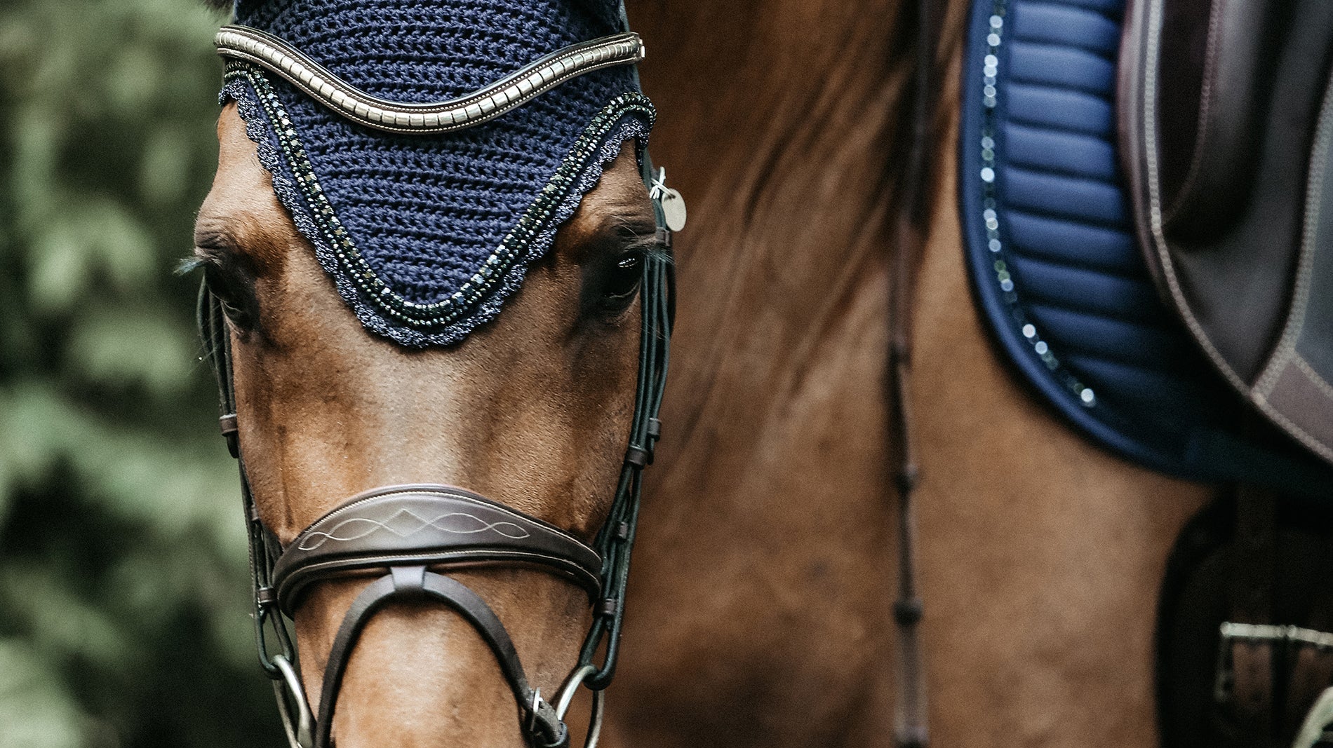 Fly Veils and Ear Bonnets: Stylish Protection for Your Horses