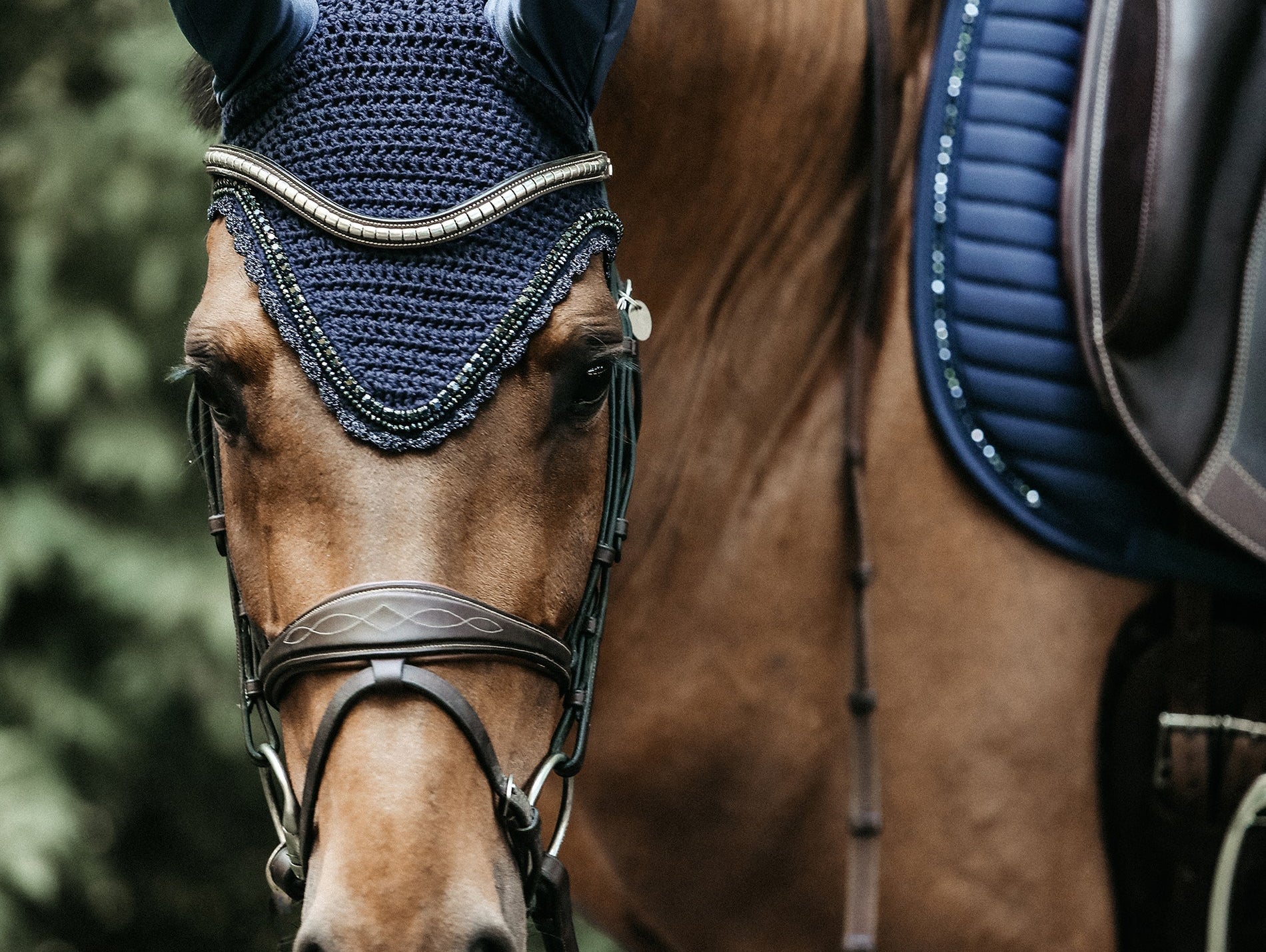 Fly Veils and Ear Bonnets: Stylish Protection for Your Horses