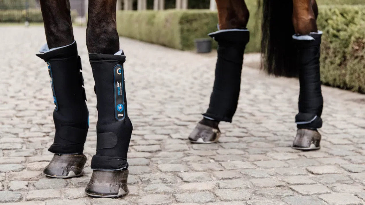 Magnetic Boots: Enhancing Recovery and Performance for Horses