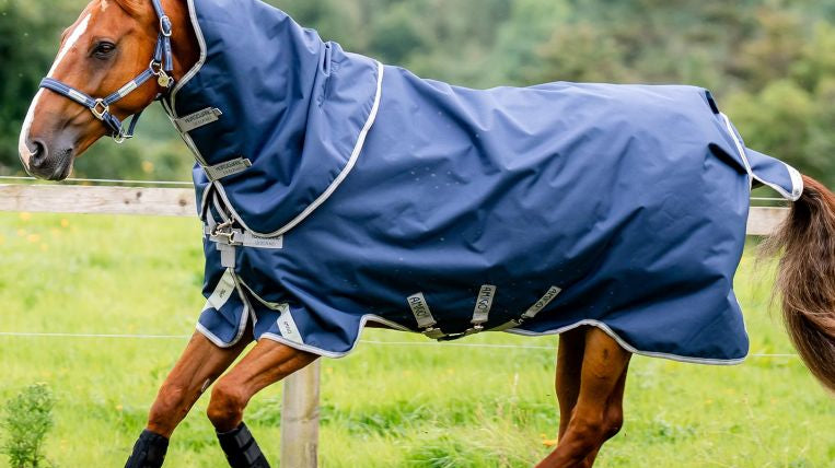 Horseware: Industry Leaders in Equestrian Rugs