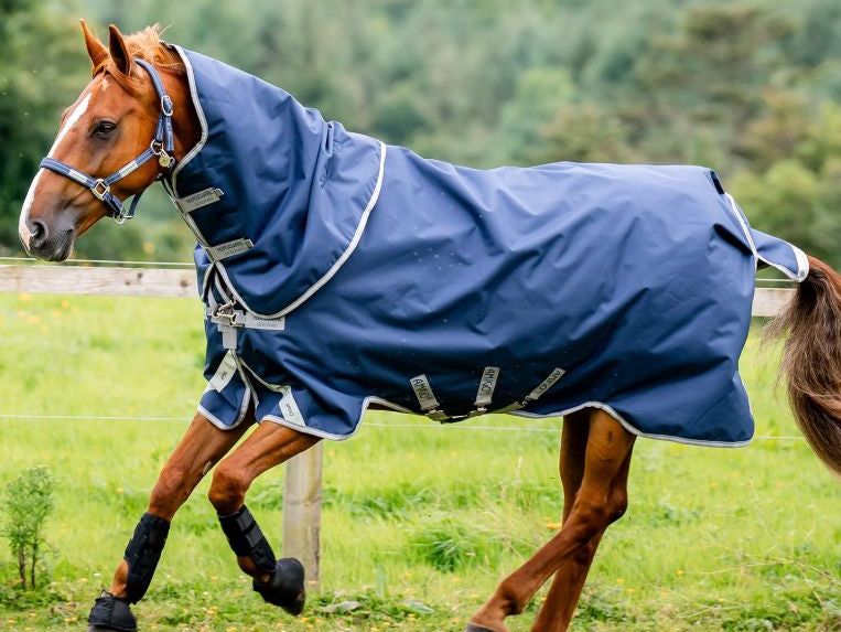 Horseware: Industry Leaders in Equestrian Rugs