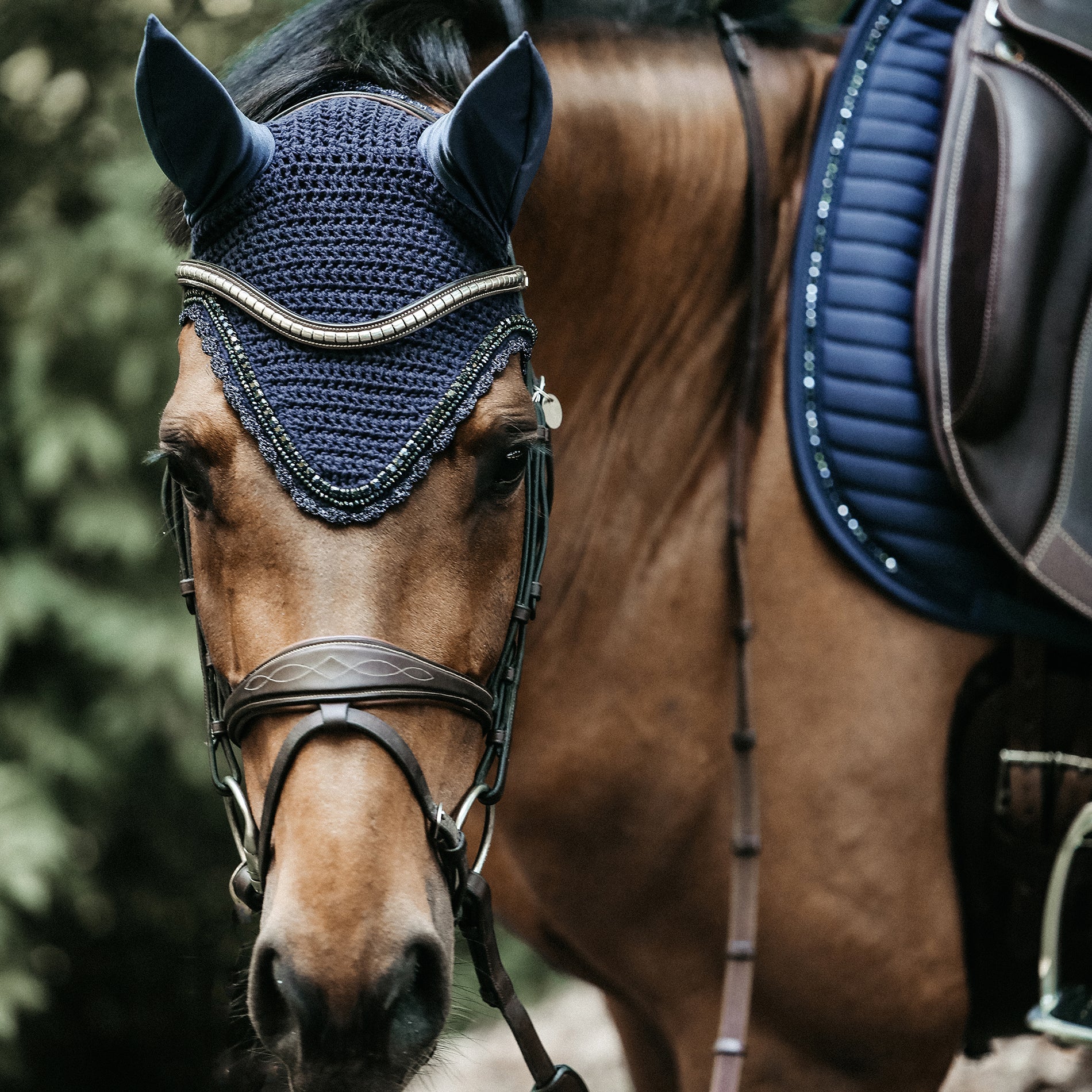 Fly Veils and Ear Bonnets: Stylish Protection for Your Horses