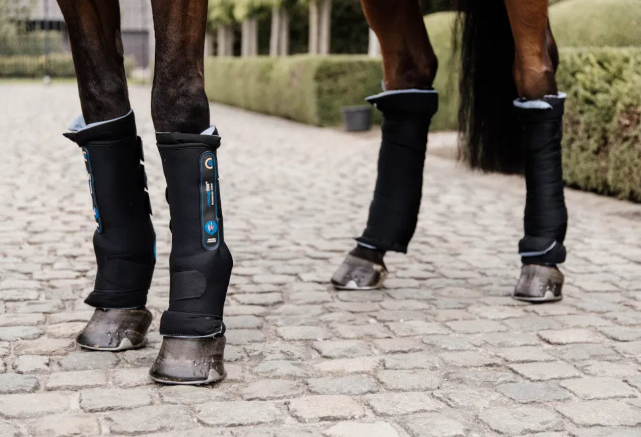 Magnetic Boots: Enhancing Recovery and Performance for Horses