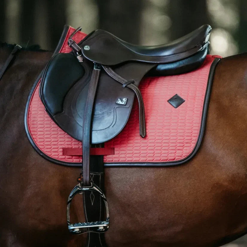 Saddle Cloths & Pads